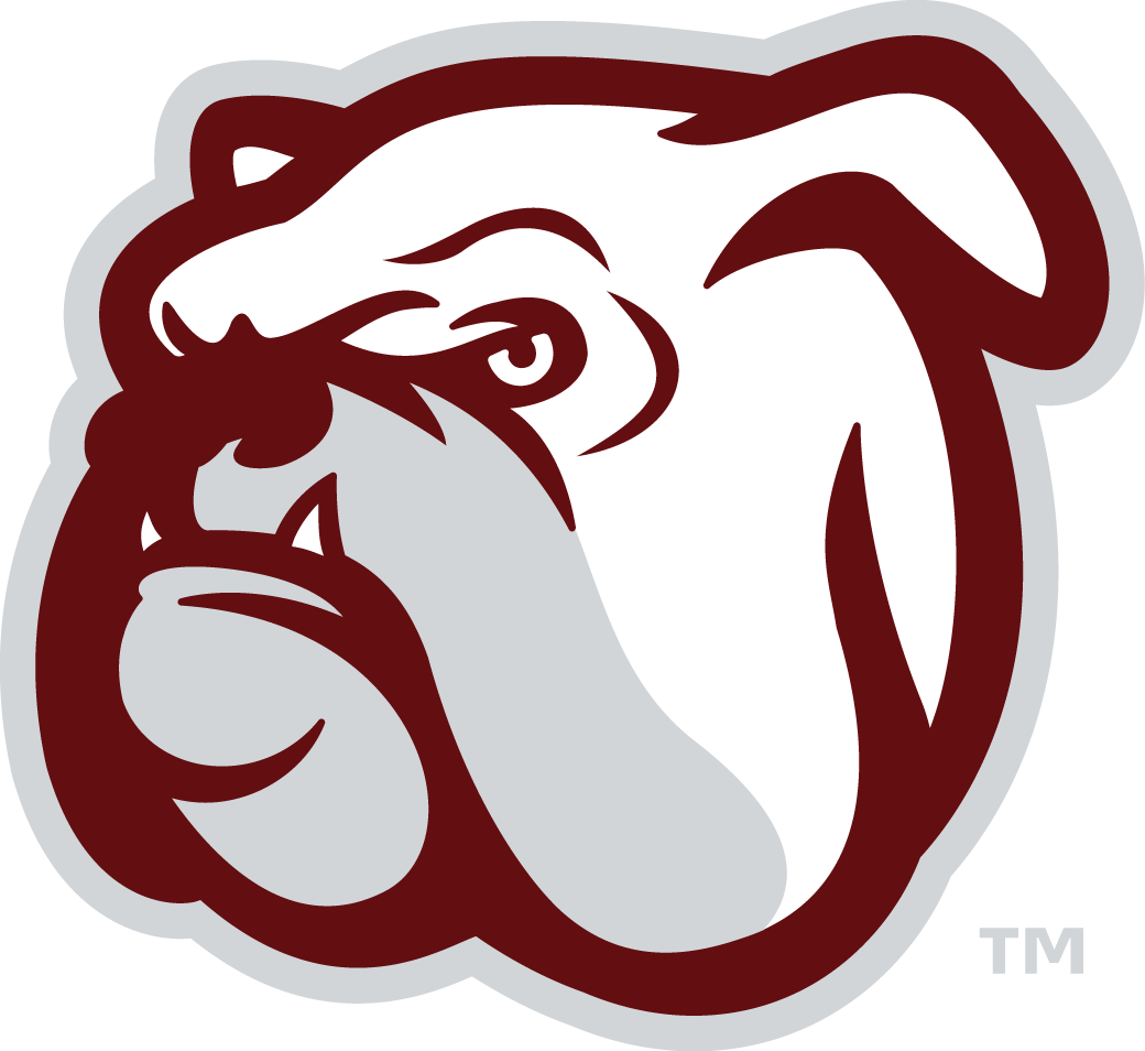 Mississippi State Bulldogs 2009-Pres Alternate Logo v6 DIY iron on transfer (heat transfer)